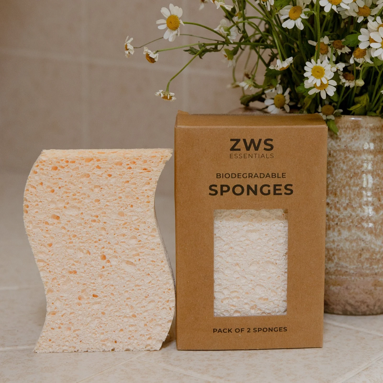 Biodegradable Kitchen Sponge 2-Pack